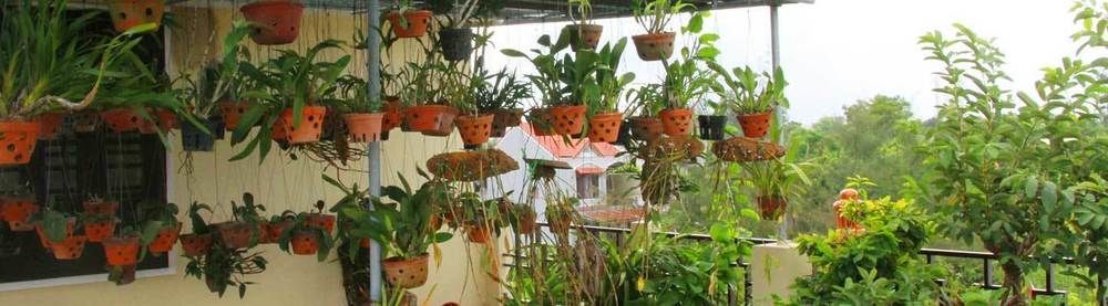Leaf Homestay Hội An Kültér fotó