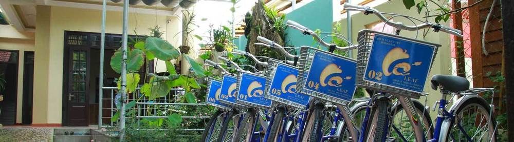 Leaf Homestay Hội An Kültér fotó