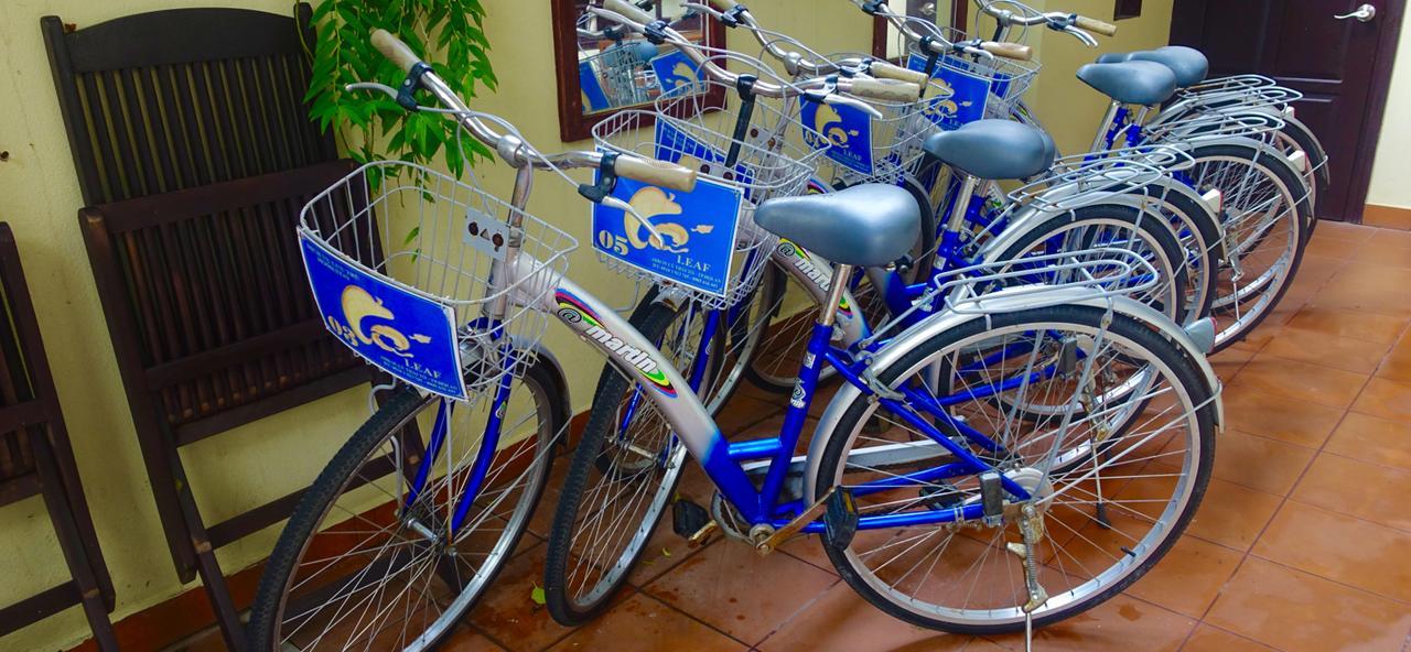 Leaf Homestay Hội An Kültér fotó