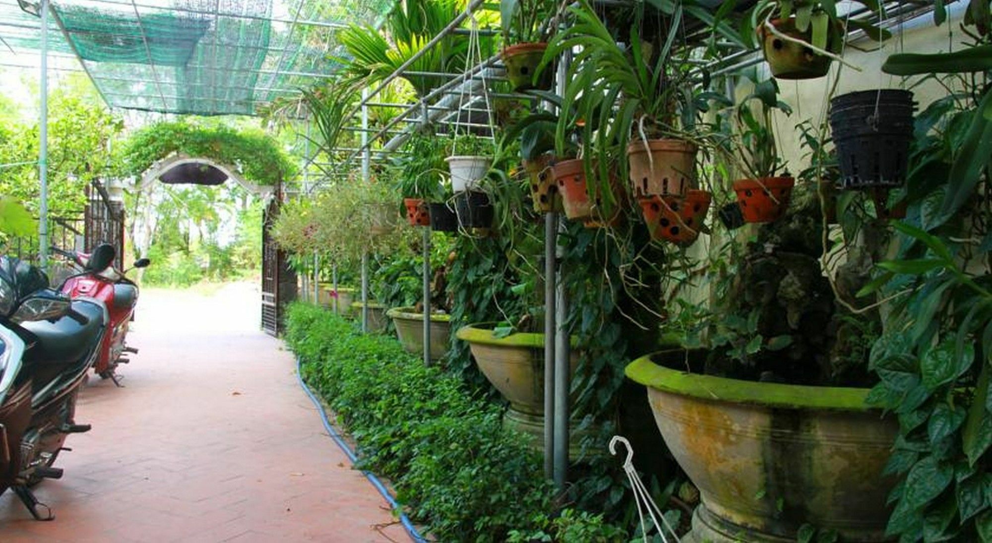 Leaf Homestay Hội An Kültér fotó