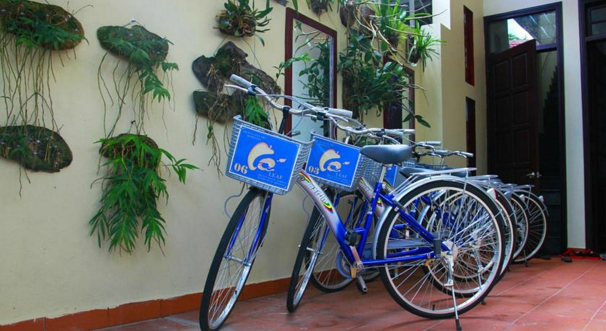 Leaf Homestay Hội An Kültér fotó